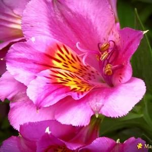 Meet your Posher, Gwen